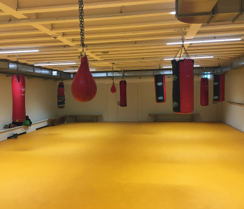Boxen in München